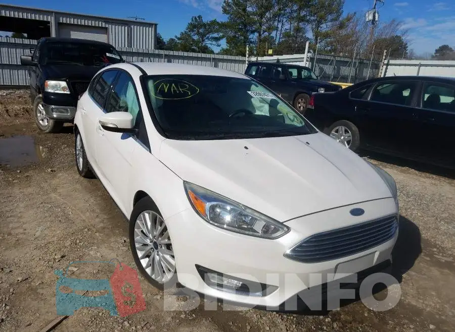1FADP3N21GL259815 Photo# 1