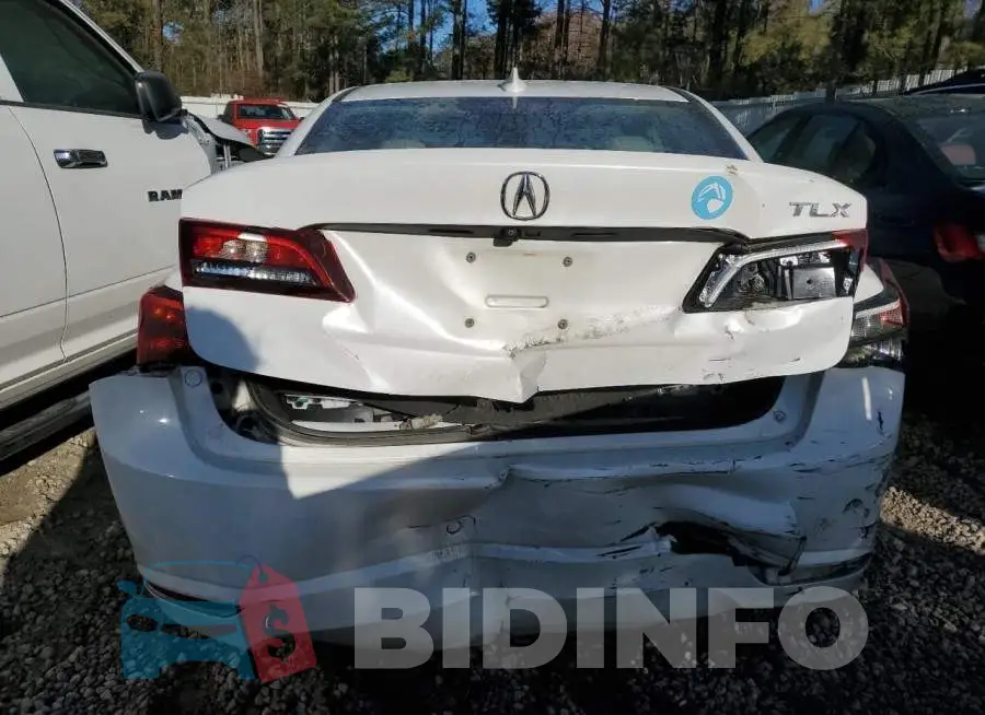 19UUB1F52FA026012 Photo# 6