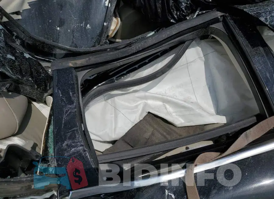 1FADP5BU9EL508215 Photo# 10