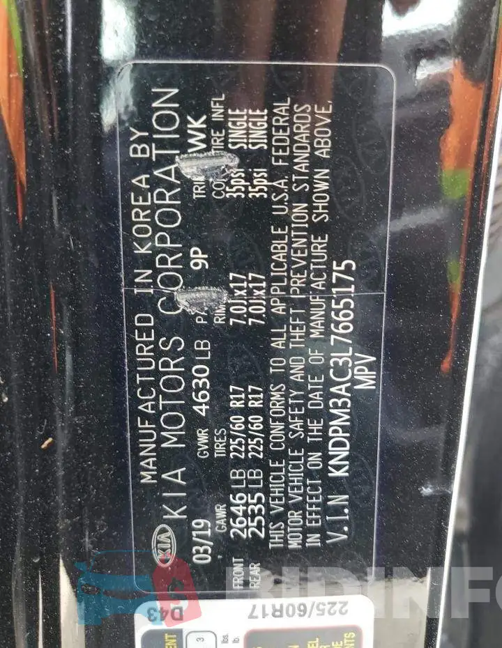 KNDPM3AC3L7665175 Photo# 13