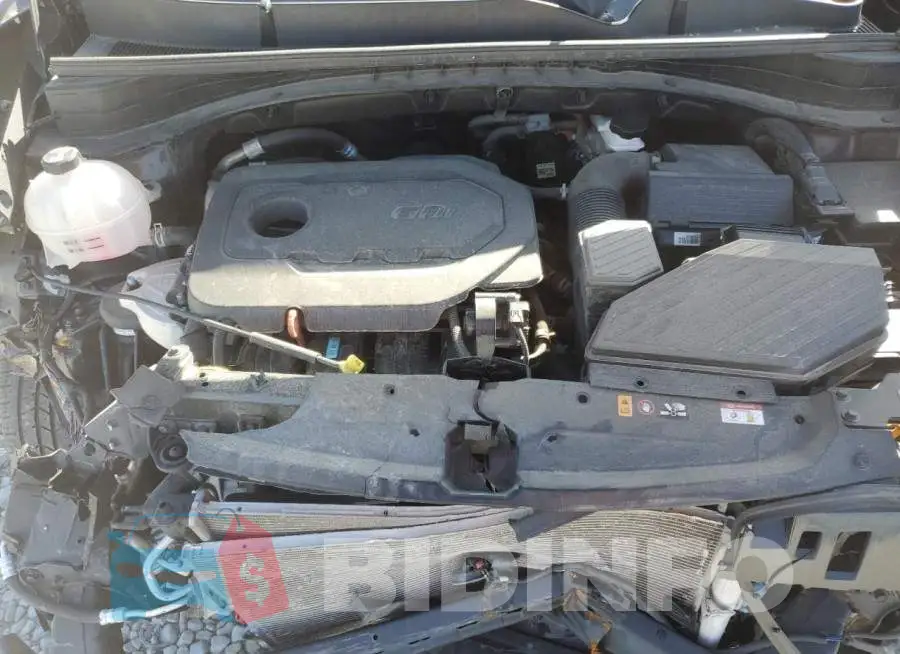 KNDPM3AC6M7938353 Photo# 12