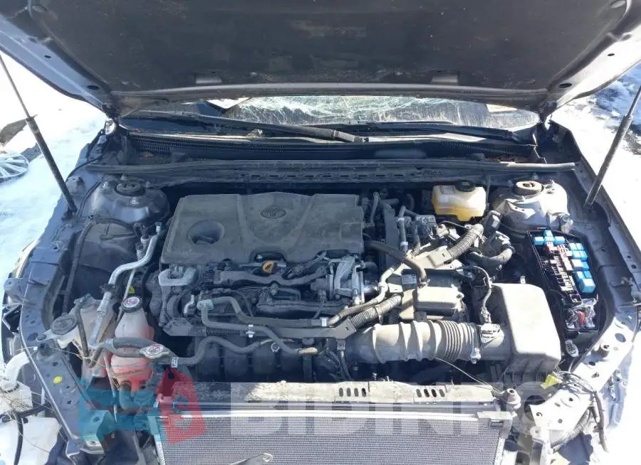 4T1C31AK2LU518100 Photo# 11