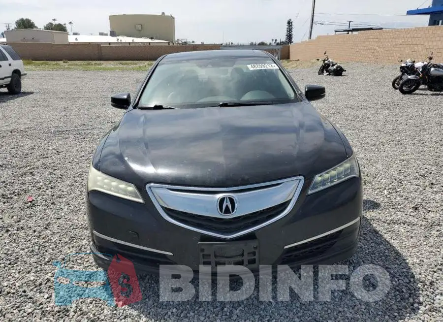 19UUB2F50FA013491 Photo# 5