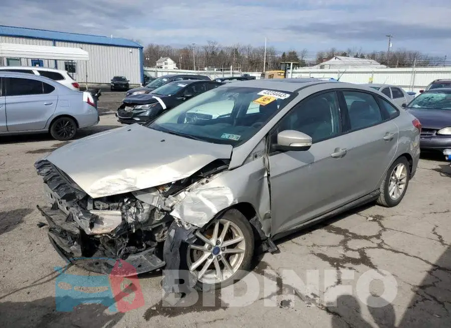 1FADP3F24GL213894 Photo# 1