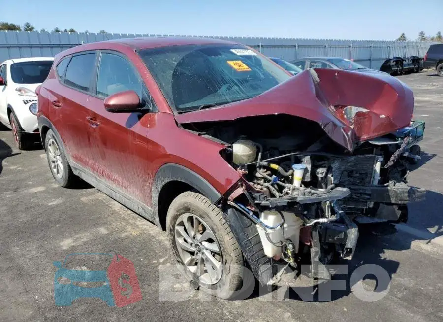 KM8J2CA45JU816113 Photo# 4