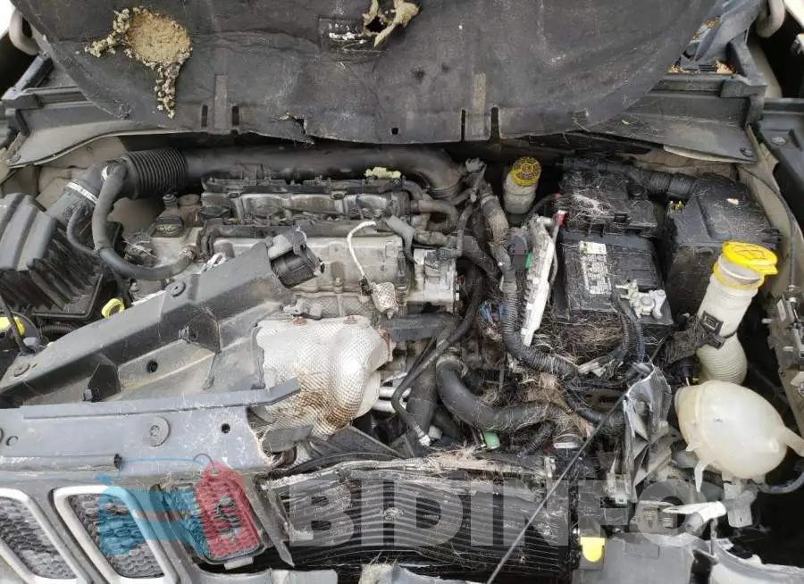 ZACCJABT1FPB51181 Photo# 12