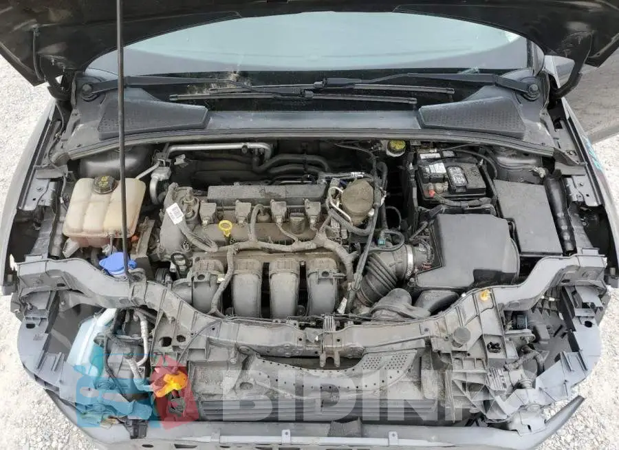 1FADP3F23GL227298 Photo# 11