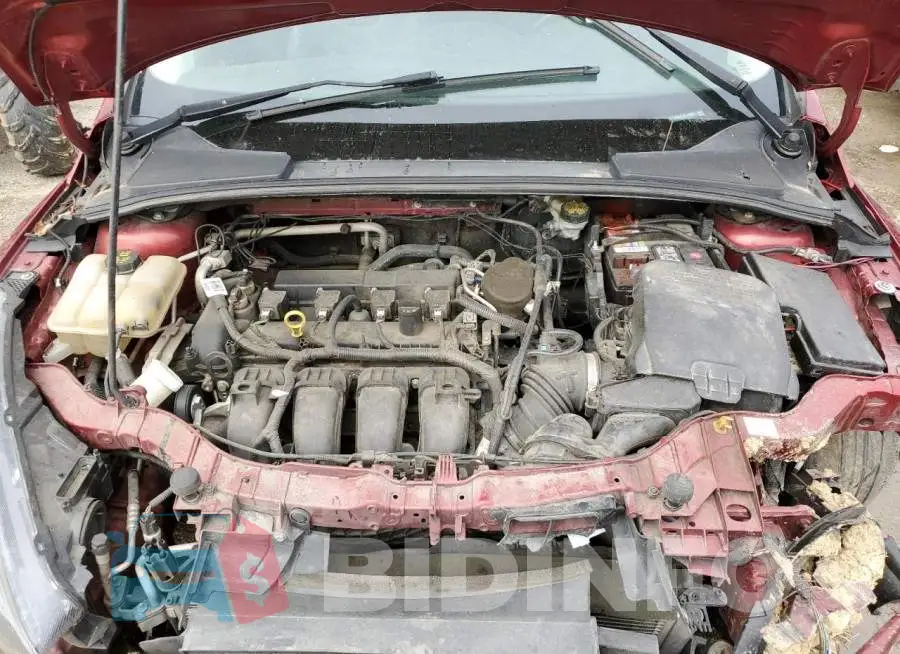1FADP3F21GL220088 Photo# 11