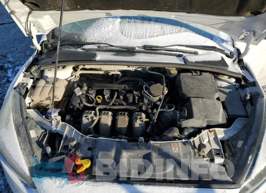 1FADP3F21FL268107 Photo# 11