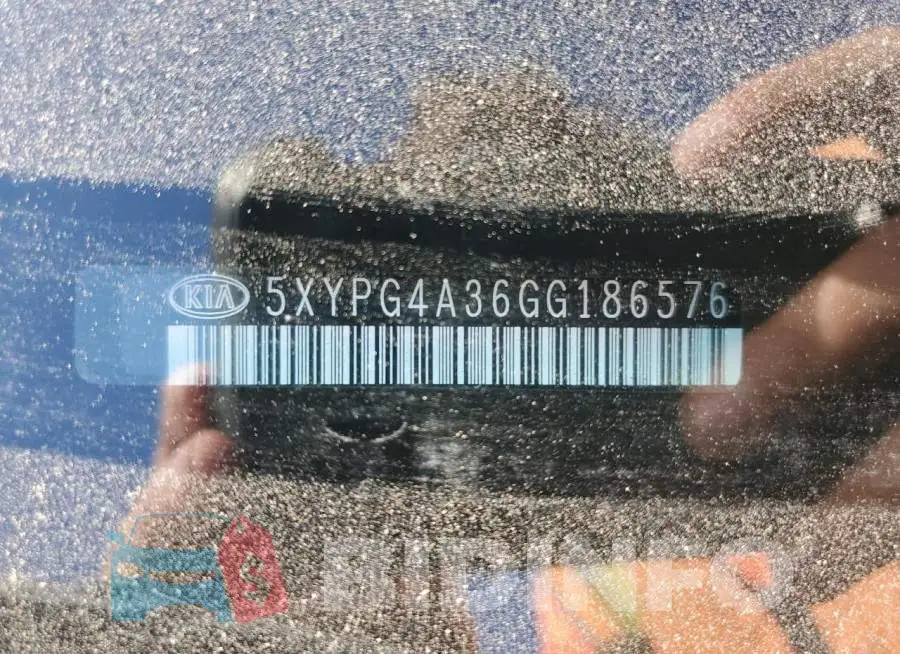 5XYPG4A36GG186576 Photo# 13