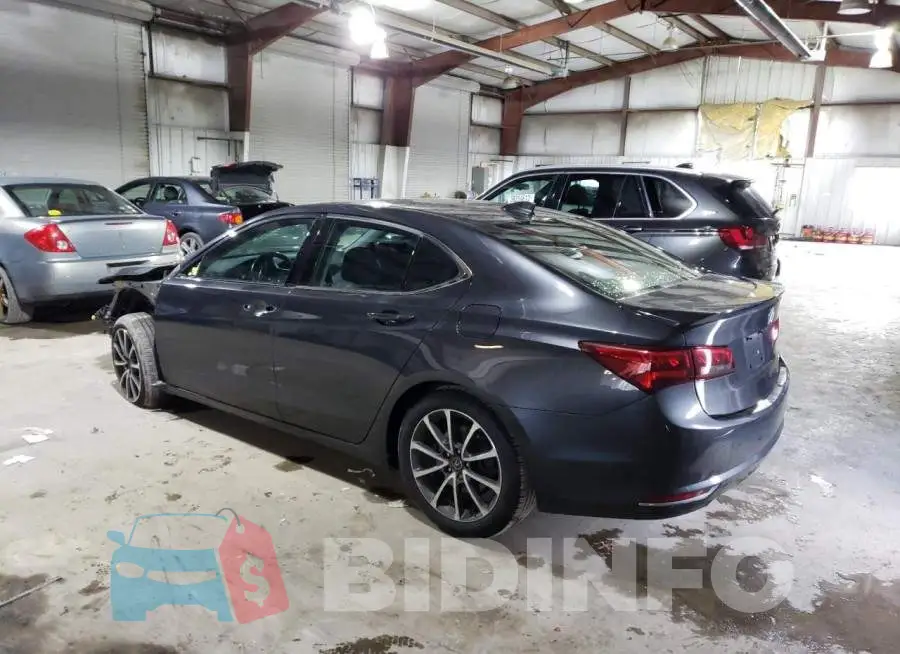 19UUB3F50FA004456 Photo# 2