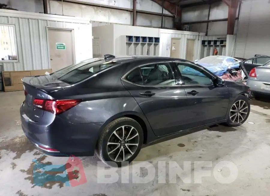 19UUB3F50FA004456 Photo# 3