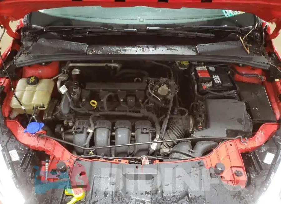 1FADP3F22GL361087 Photo# 11