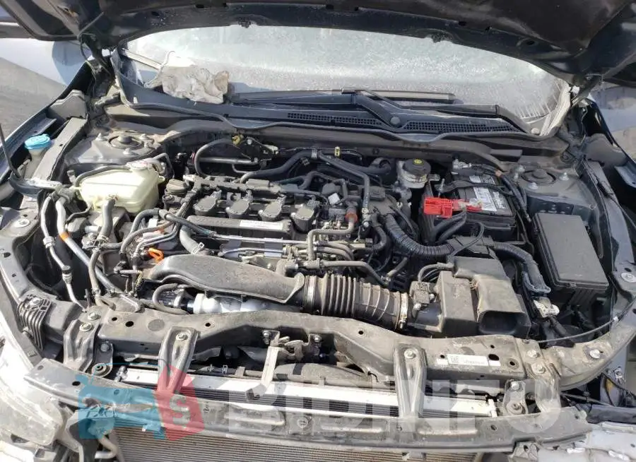 19XFC1F9XGE005883 Photo# 11