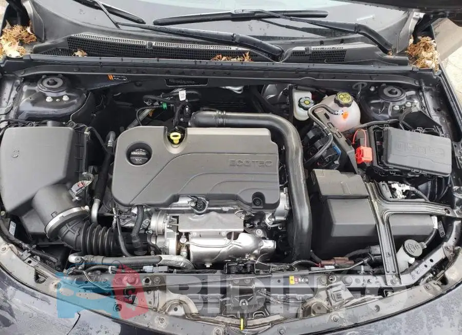 1G1ZD5ST2NF182913 Photo# 11