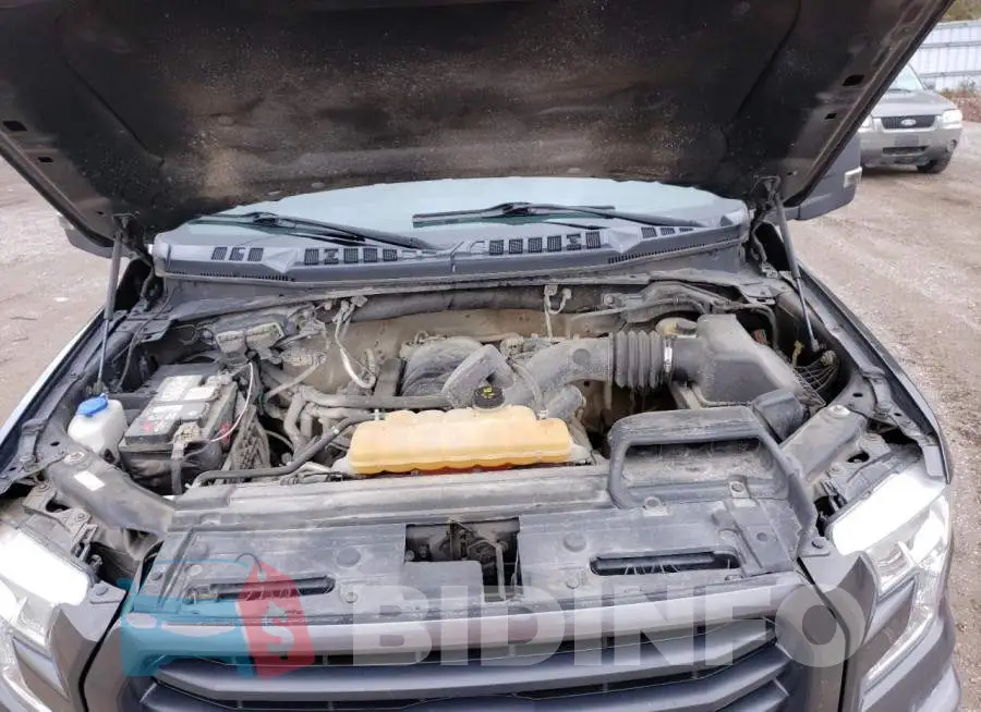 1FTEW1EF7GFA26528 Photo# 11