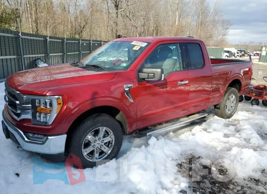 1FTFX1E51MKD10832 Photo# 1