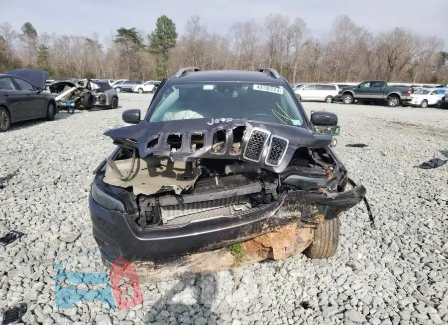 1C4PJLLB2MD203657 Photo# 5