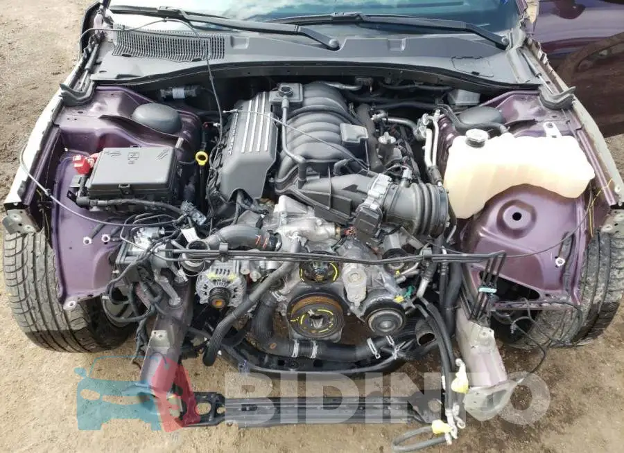 2C3CDXGJ1LH175161 Photo# 11