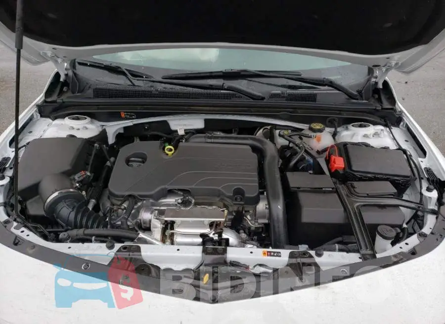 1G1ZD5ST8NF207751 Photo# 11