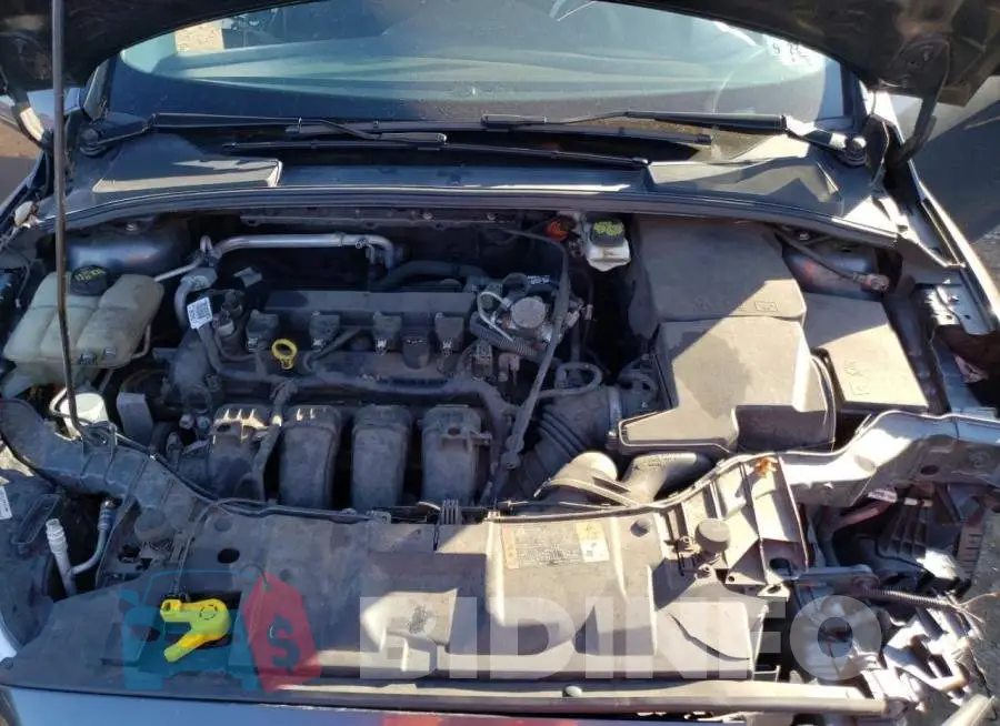 1FADP3F29JL207483 Photo# 11