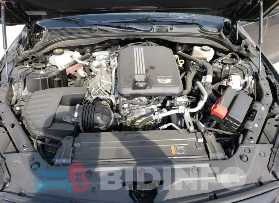 1G6DW5RK2M0147172 Photo# 11