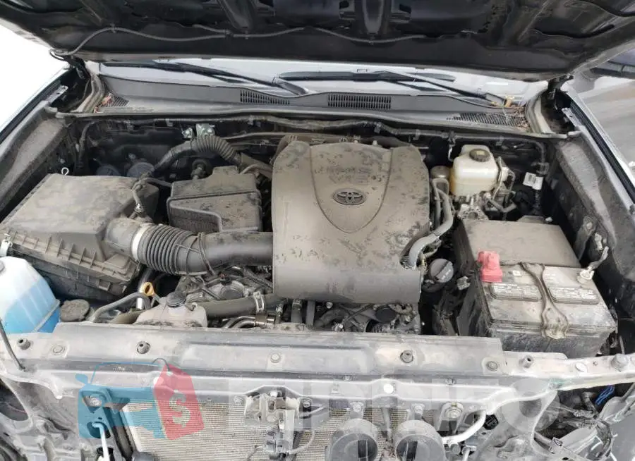 3TMCZ5AN1LM313005 Photo# 11