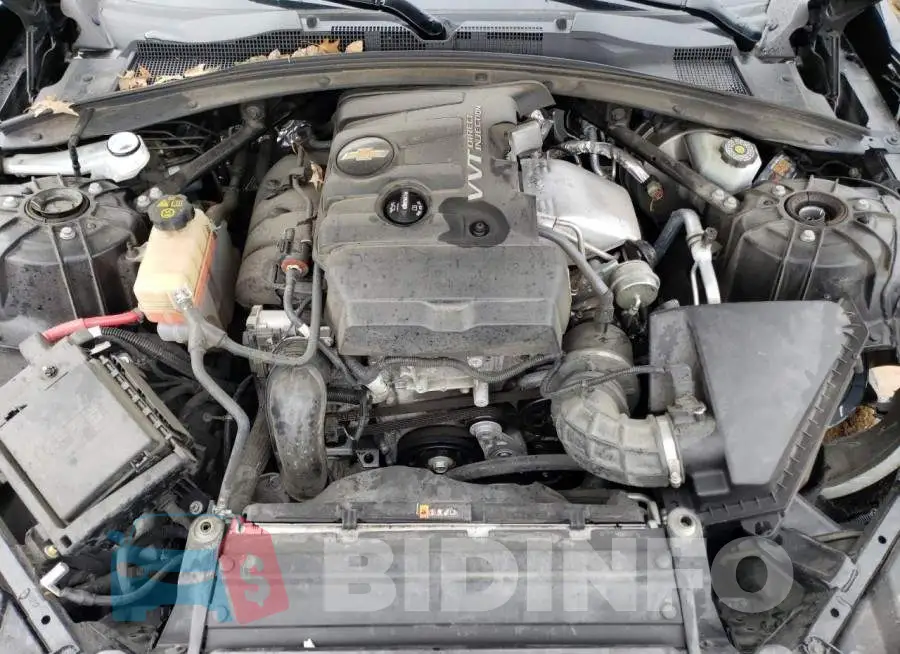 1G1FB1RX6L0109716 Photo# 7