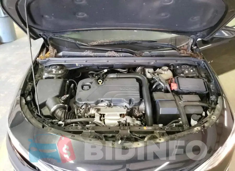 1G1ZD5ST4LF077450 Photo# 11