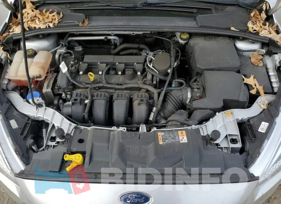 1FADP3F25GL262067 Photo# 11