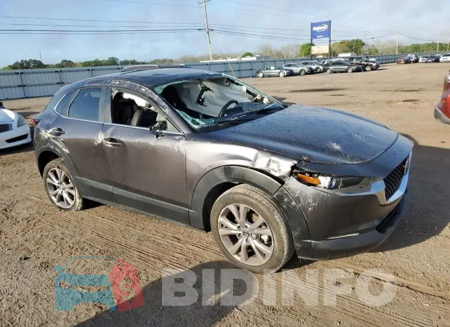 3MVDMBCL9MM205292 Photo# 4