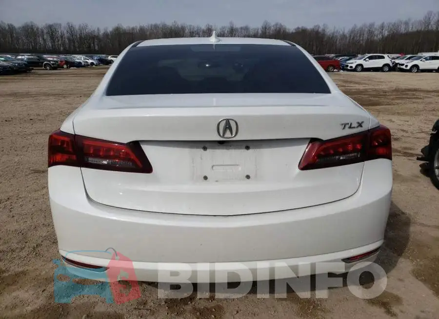 19UUB1F32GA014295 Photo# 6
