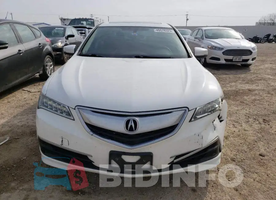 19UUB1F32GA014295 Photo# 5