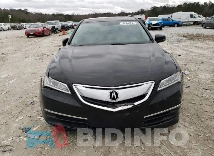 19UUB1F50FA018538 Photo# 5
