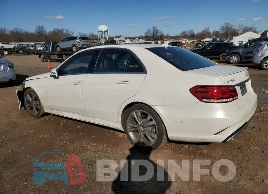 WDDHF8JBXEA925859 Photo# 2