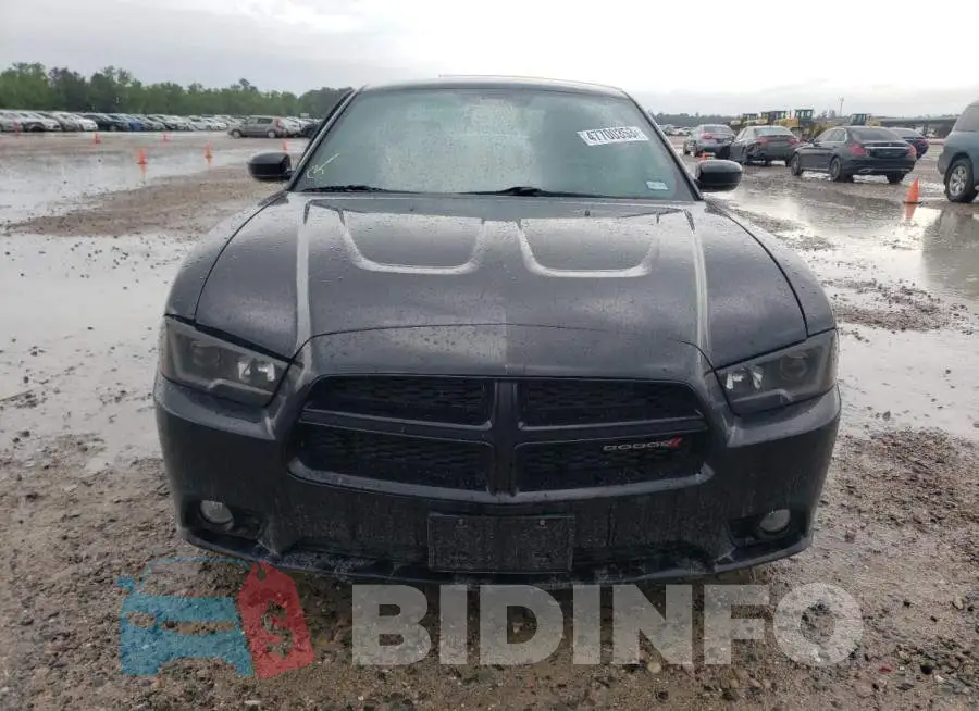 2C3CDXCTXEH350355 Photo# 5