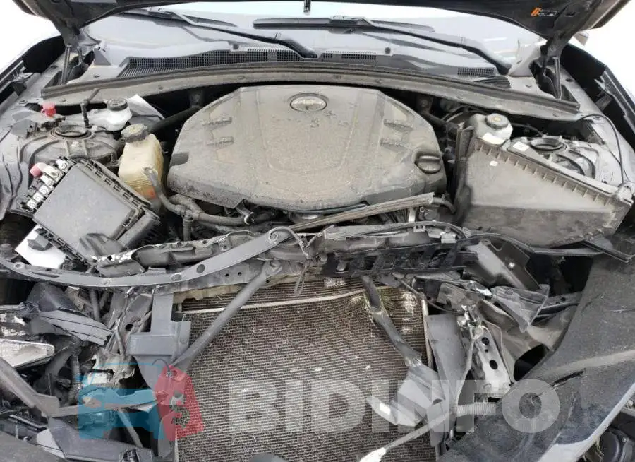 1G1FB1RS4K0131944 Photo# 11