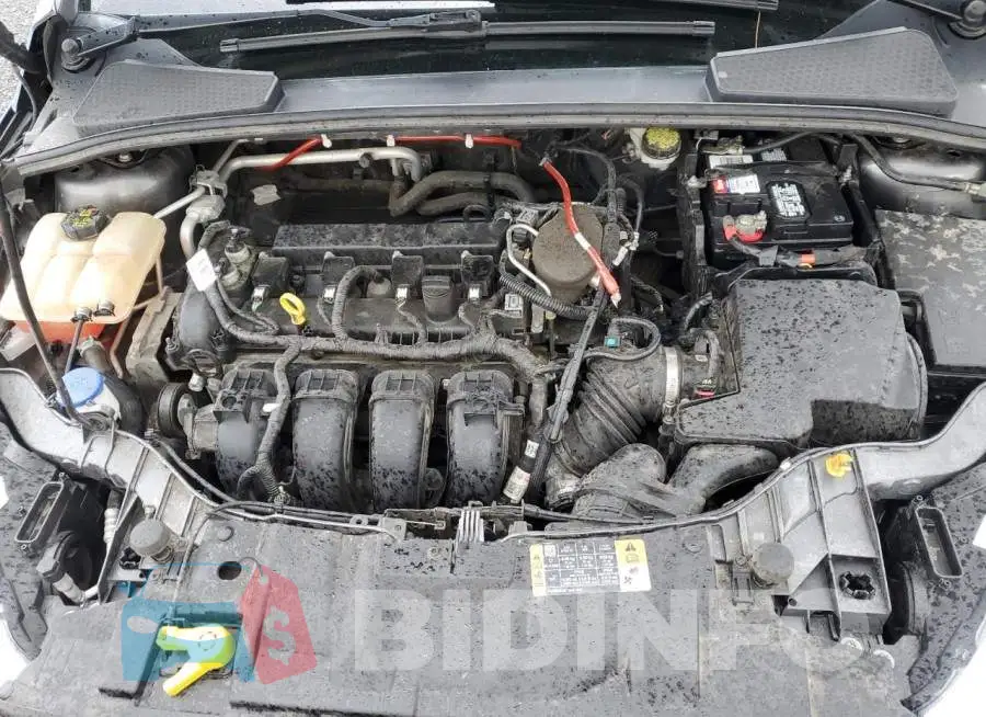 1FADP3F25GL200751 Photo# 11