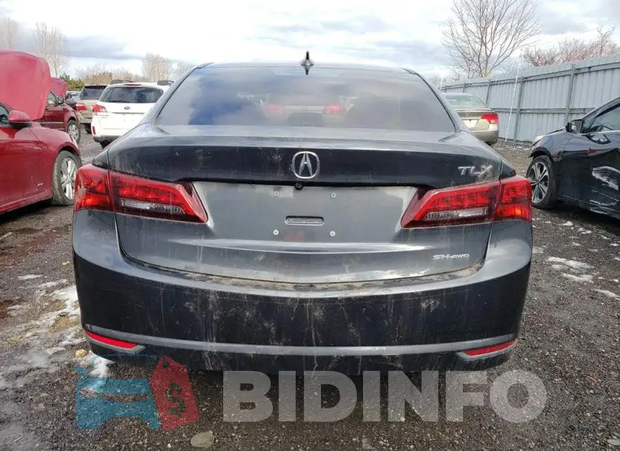 19UUB3F59GA800978 Photo# 6