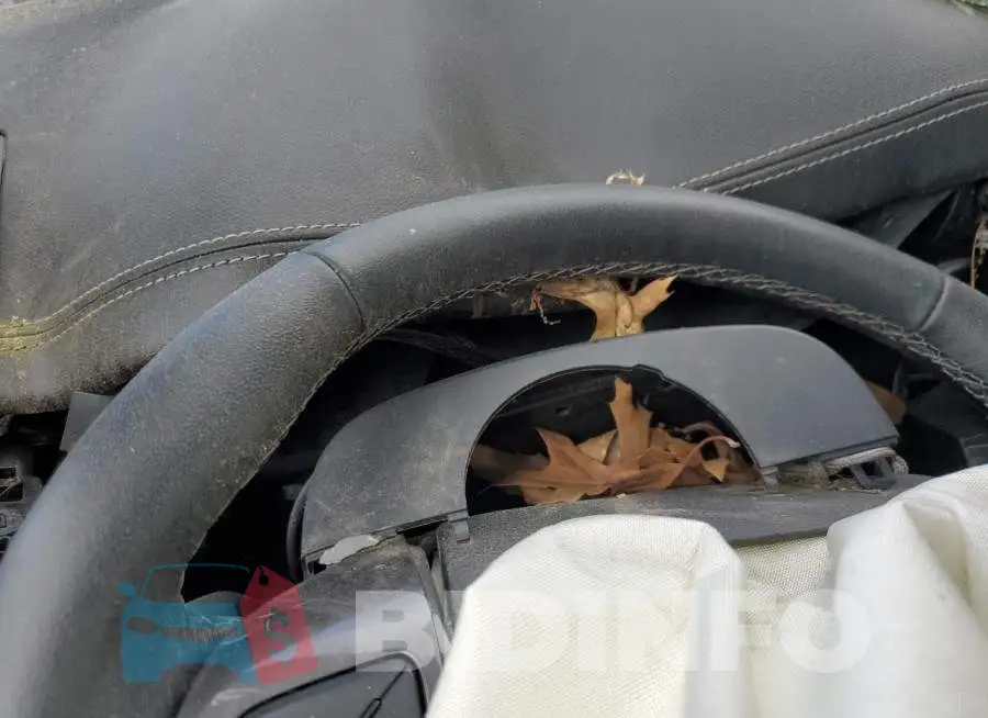 1FTER4FH7MLD41318 Photo# 9