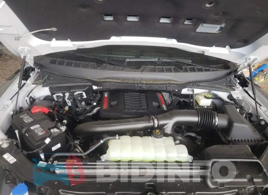 1FTFW1RG9PFA44813 Photo# 11