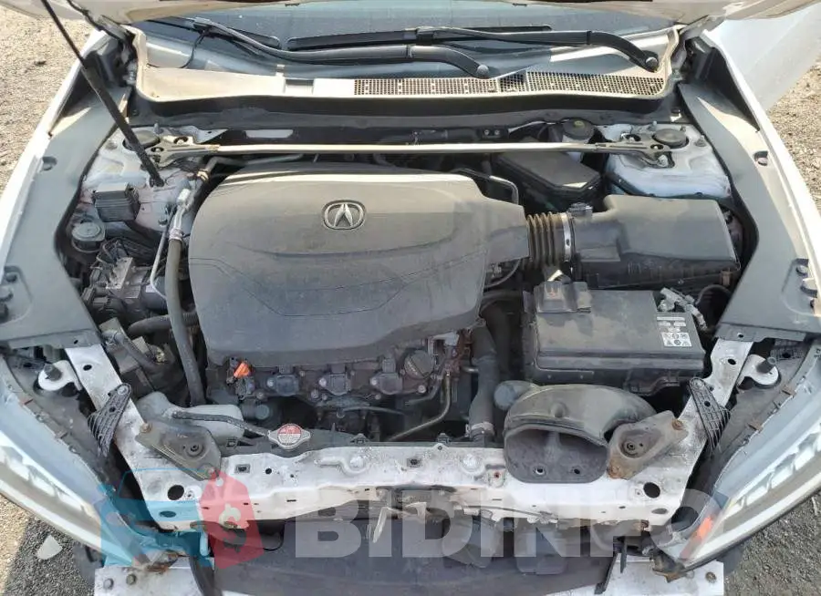 19UUB2F39GA012680 Photo# 11