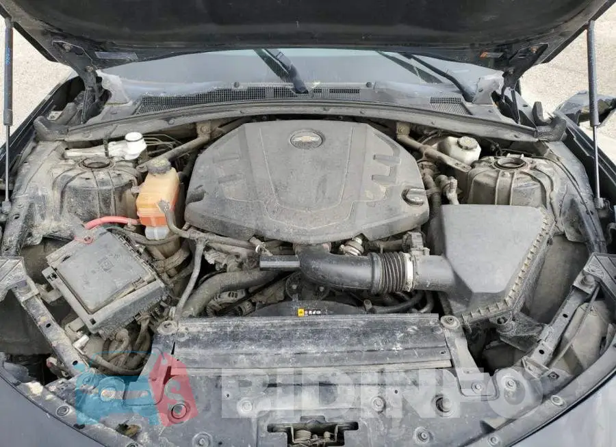 1G1FB1RS6H0185173 Photo# 11