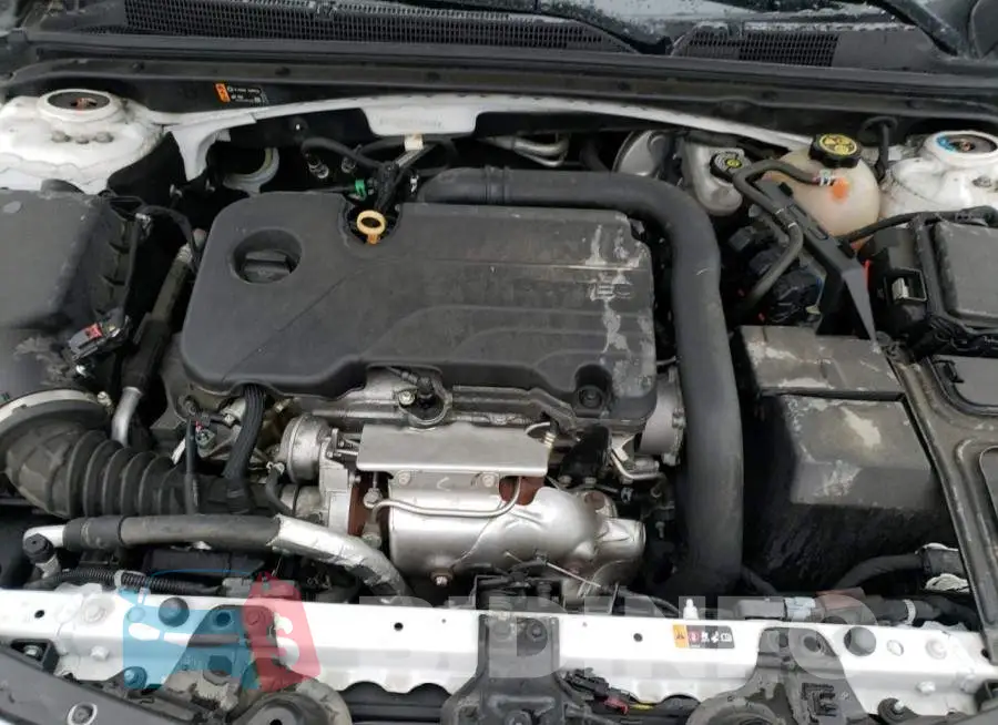 1G1ZG5ST2LF084016 Photo# 11