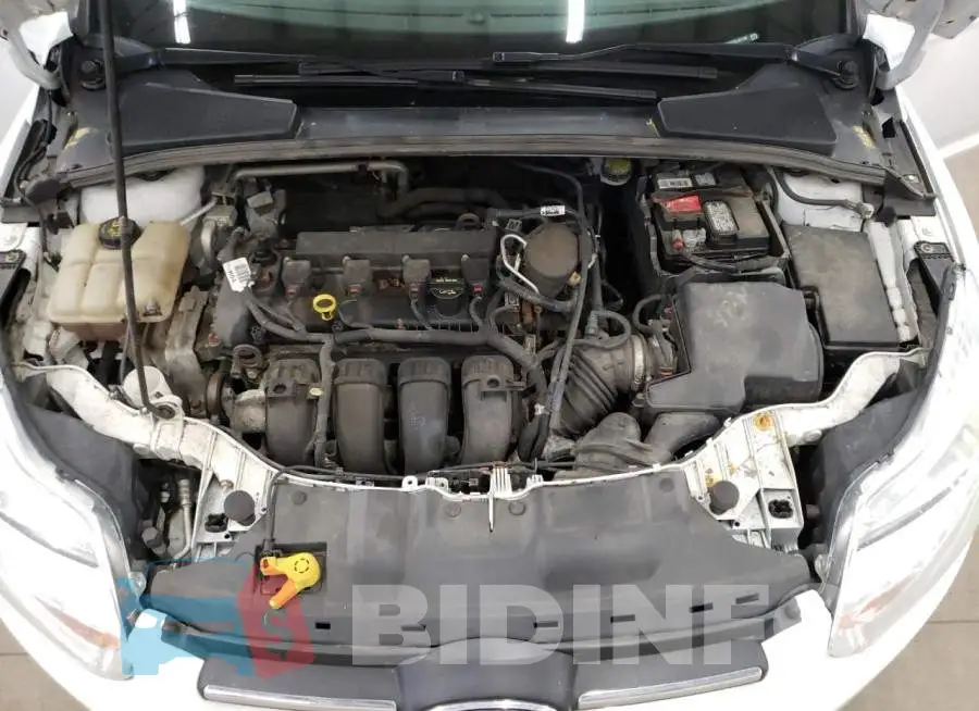 1FADP3F22EL351186 Photo# 11