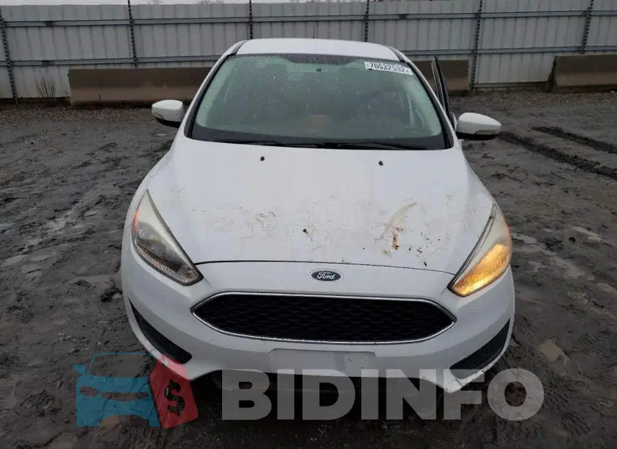 1FADP3F22GL384417 Photo# 5