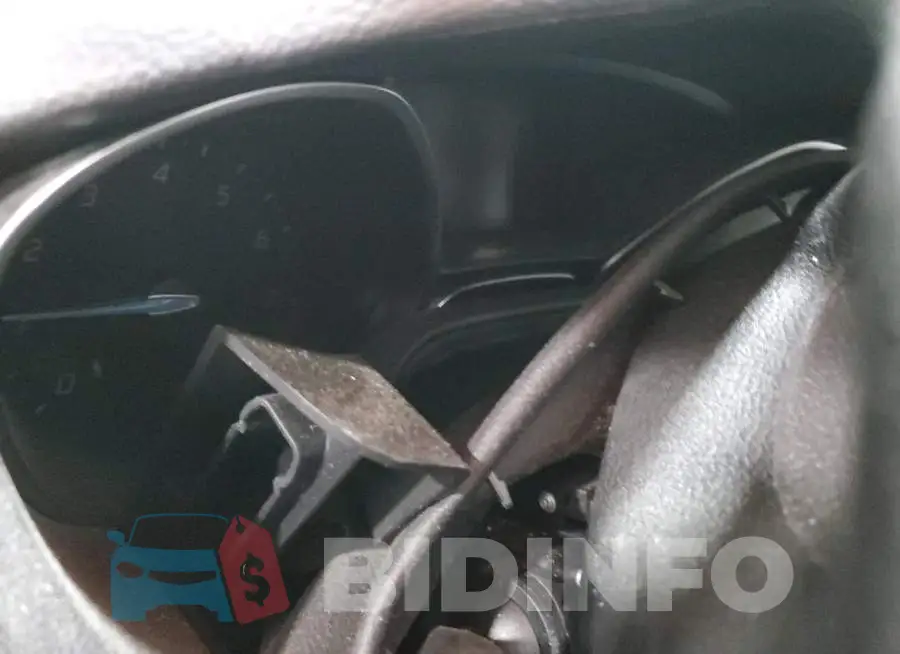 1FADP3F29EL393712 Photo# 9