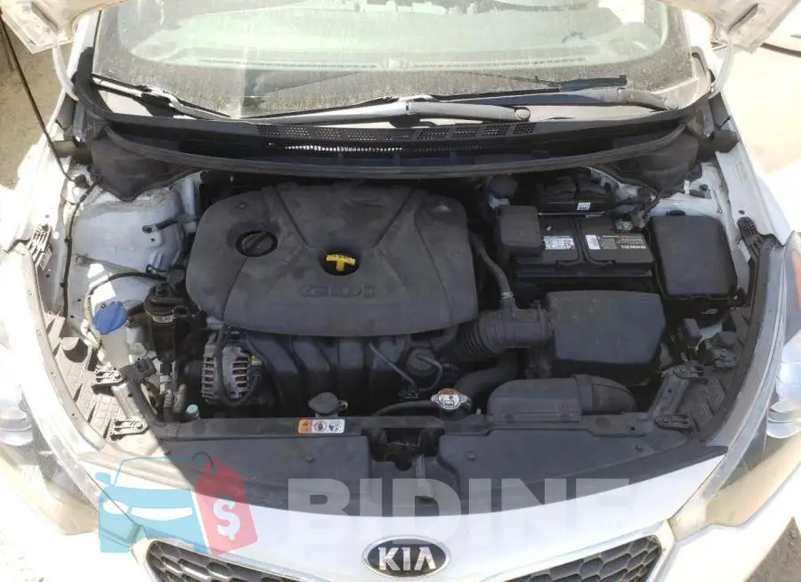 KNAFZ4A80G5531205 Photo# 11