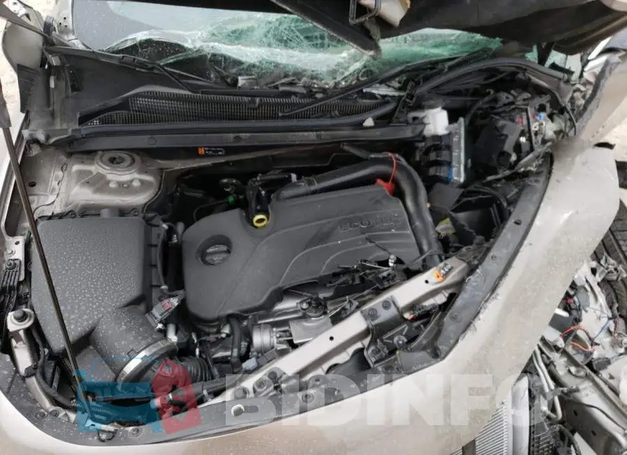 1G1ZD5ST5PF146393 Photo# 11
