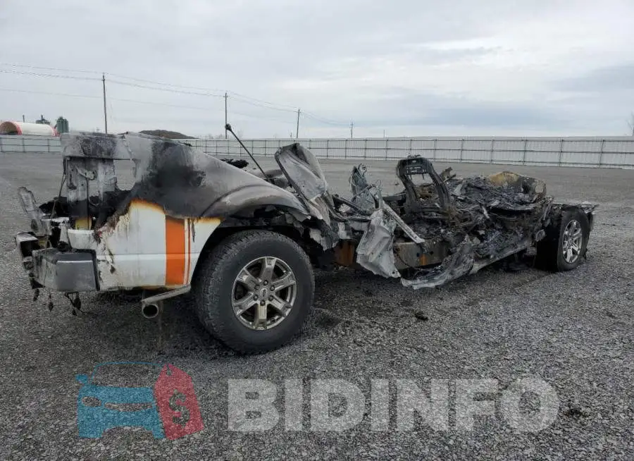 1FTFW1E50MFB05207 Photo# 3